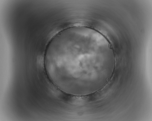 X0000115440297200911121129