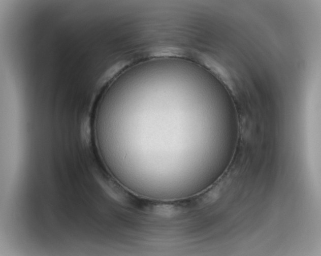 X0000115440298200911121128