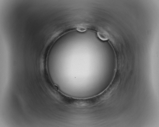 X0000115440299200911121128