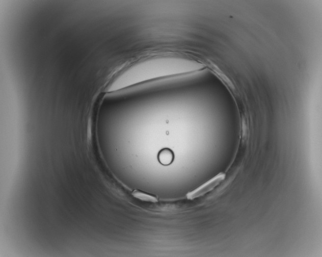 X0000115440301200911121128