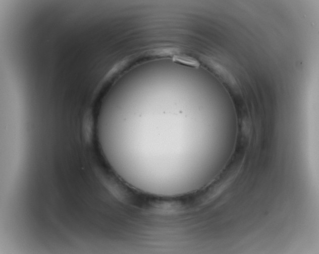 X0000115440304200911121128