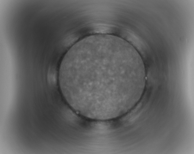 X0000115440305200911121128