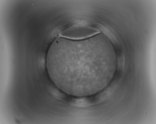 X0000115440309200911121128