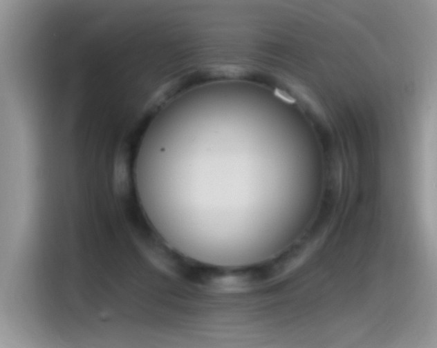 X0000115440312200911121128