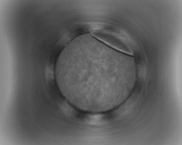 X0000115440313200911121128