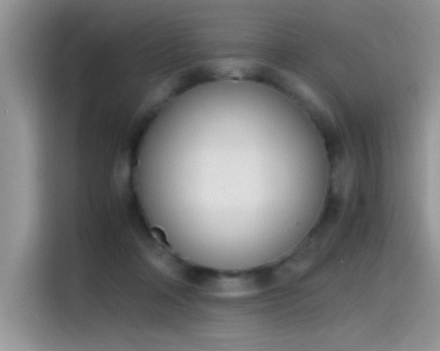 X0000115440314200911121128