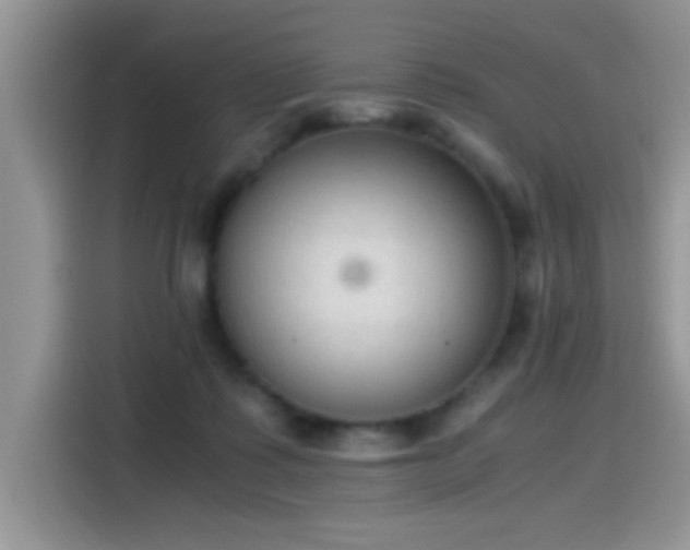X0000115440315200911121128