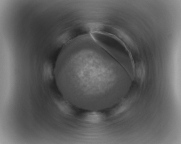 X0000115440316200911121128