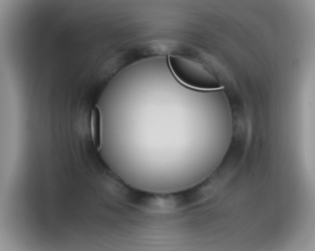X0000115440317200911121128