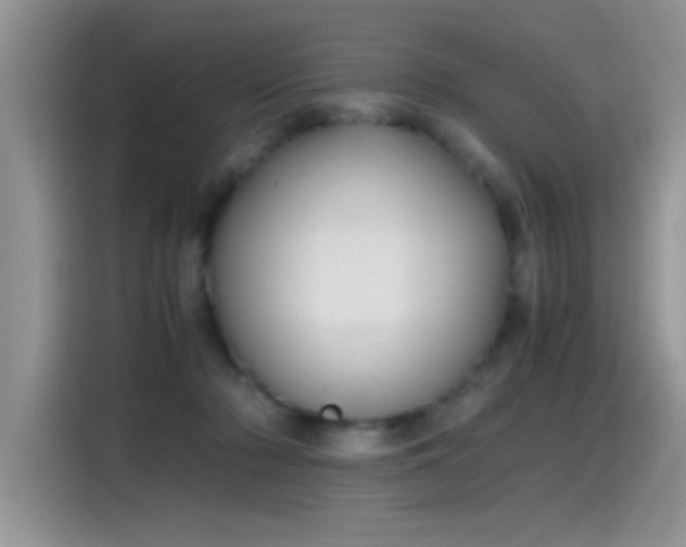 X0000115440318200911121128