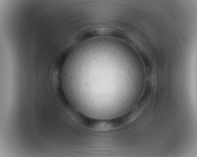 X0000115440319200911121128