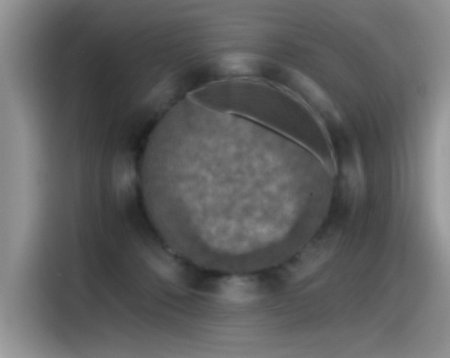 X0000115440320200911121128