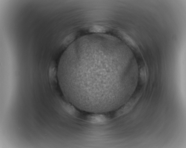 X0000115440322200911121128