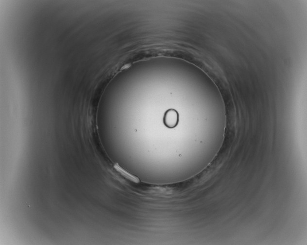 X0000115440328200911121128