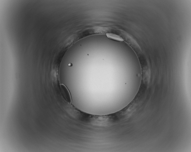 X0000115440329200911121128