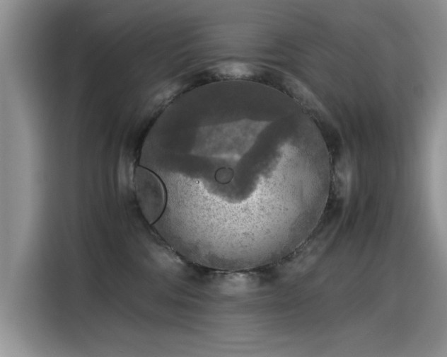 X0000115440330200911121128
