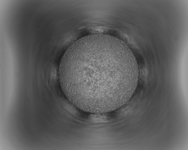 X0000115440331200911121128