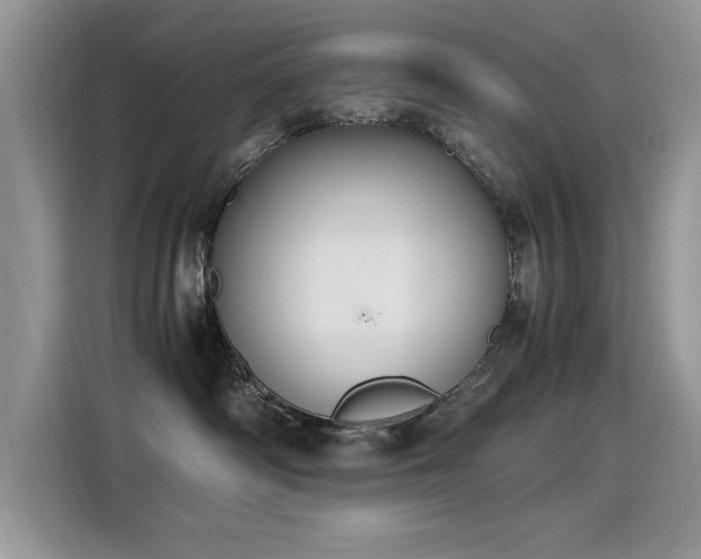 X0000115440334200911121128