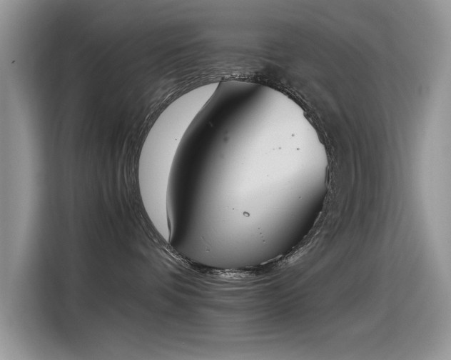 X0000115440336200911121128