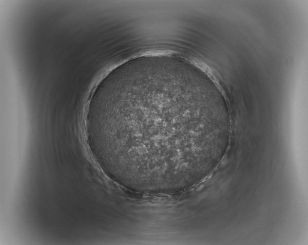 X0000115440337200911121127