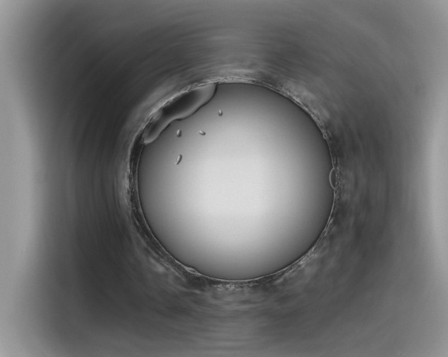 X0000115440338200911121127