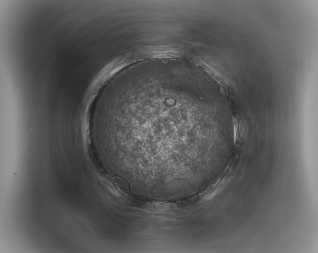 X0000115440339200911121127
