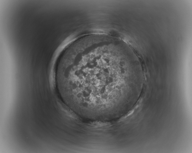 X0000115440343200911121127