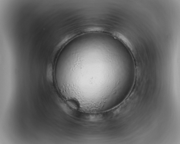 X0000115440345200911121127