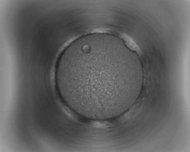 X0000115440346200911121127