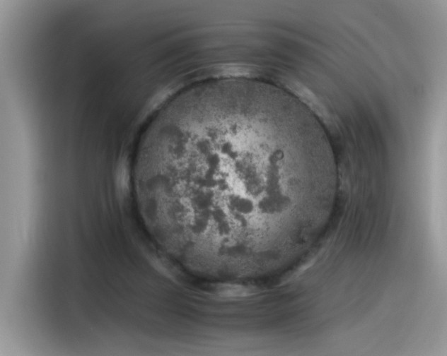 X0000115440347200911121128