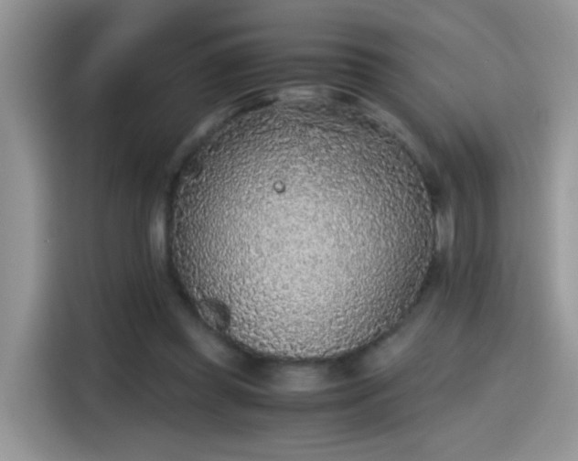 X0000115440349200911121128