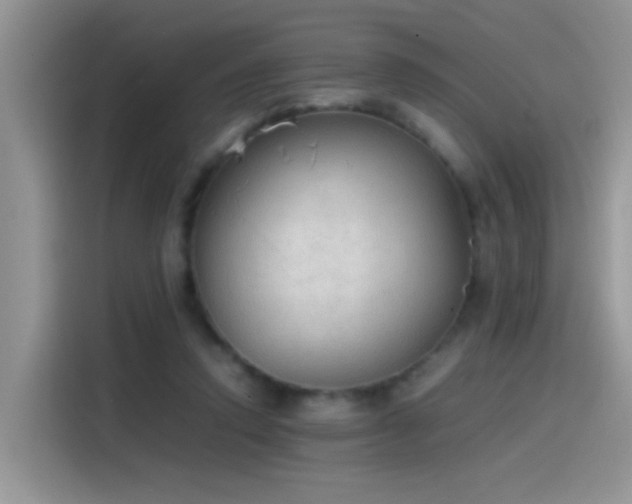 X0000115440354200911121128