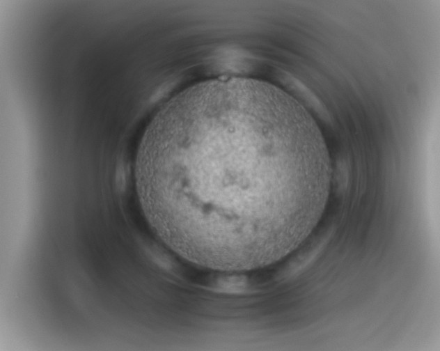 X0000115440355200911121128