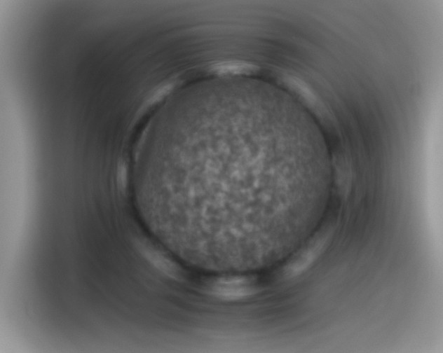 X0000115440357200911121128