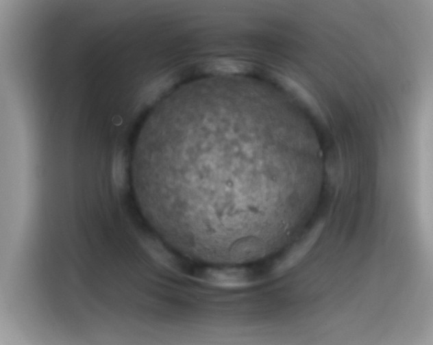X0000115440359200911121128