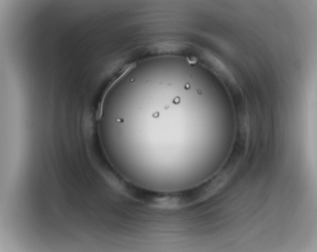 X0000115440362200911121128