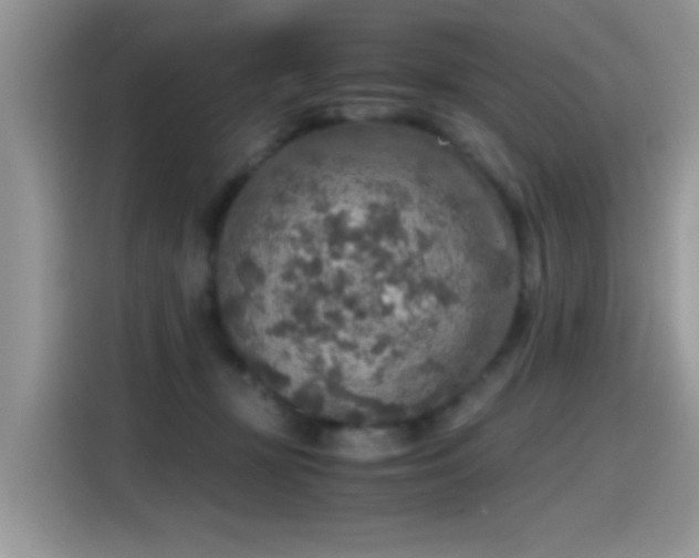 X0000115440367200911121128