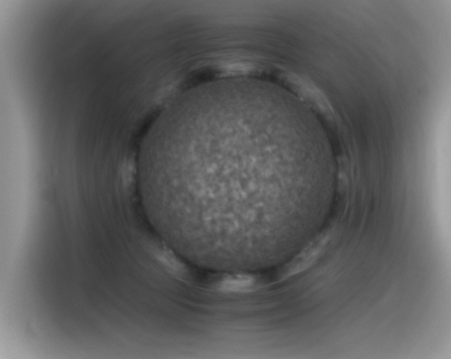 X0000115440369200911121128