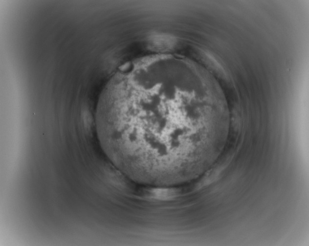 X0000115440371200911121128