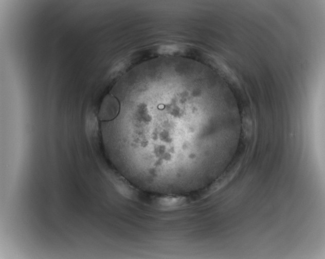 X0000115440375200911121128