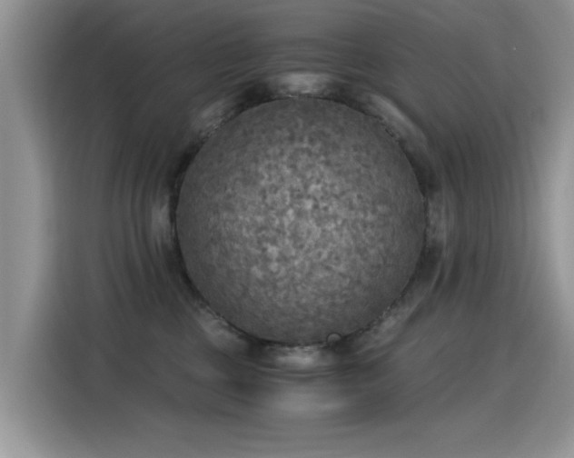 X0000115440377200911121128