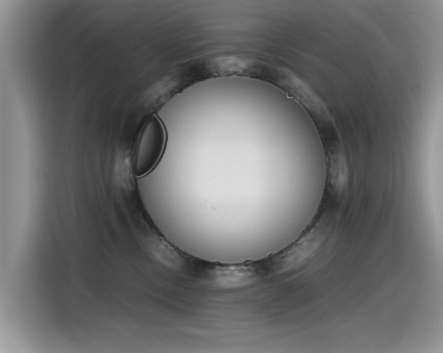 X0000115440378200911121128