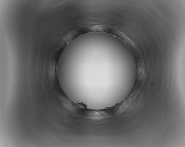 X0000115440379200911121128
