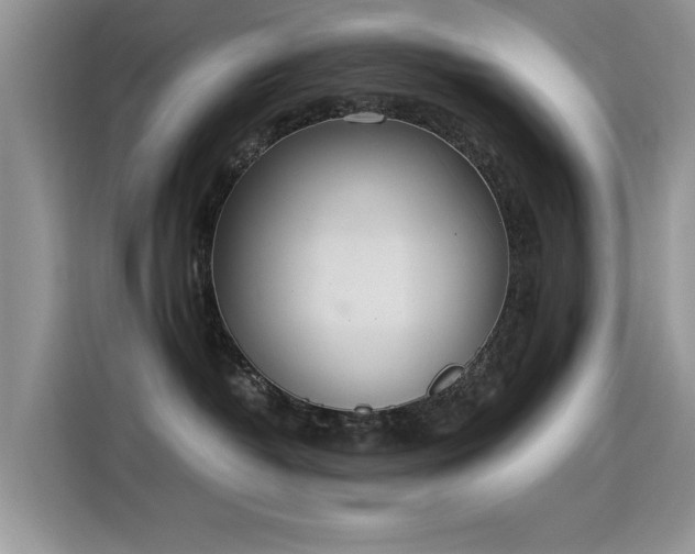 X0000115440382200911121128