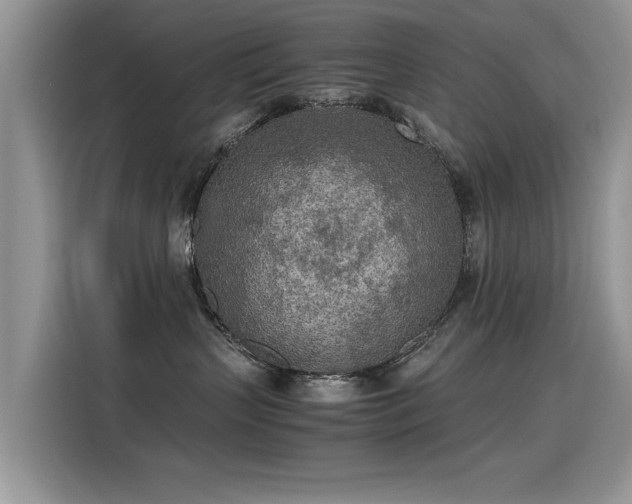X0000115440383200911121128