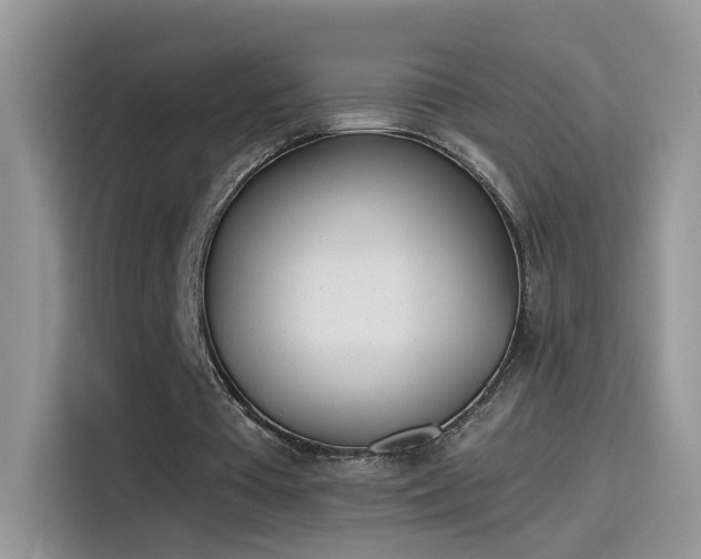 X0000115440385200911121127
