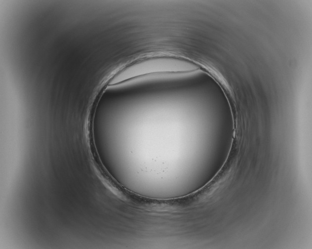 X0000115440389200911121127