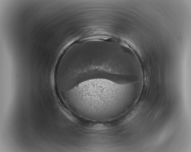 X0000115440390200911121127