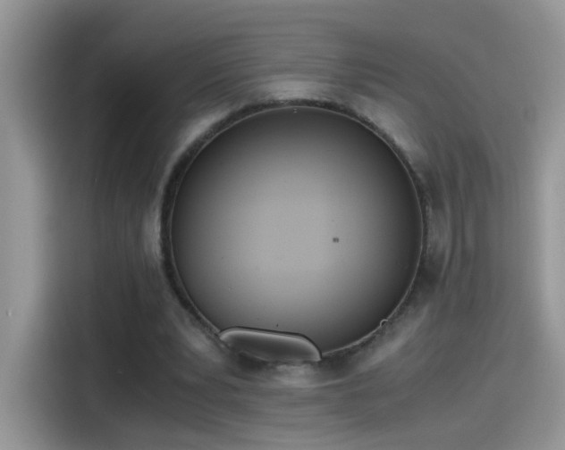 X0000115440391200911121127