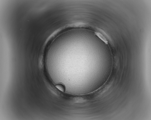 X0000115440392200911121127